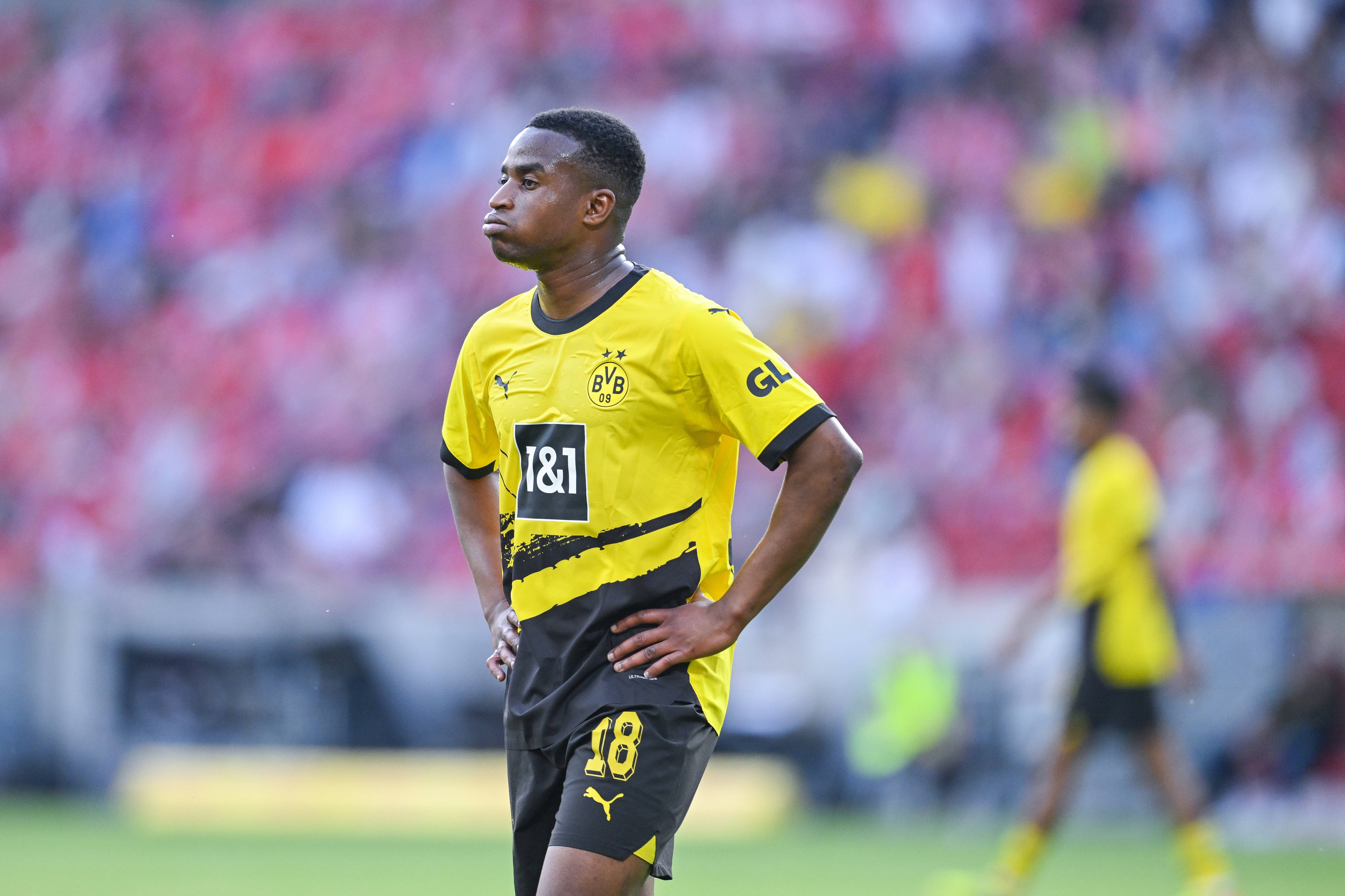 穆科科：前几年经历过了巅峰与低谷，现在会对各种评价一笑置之