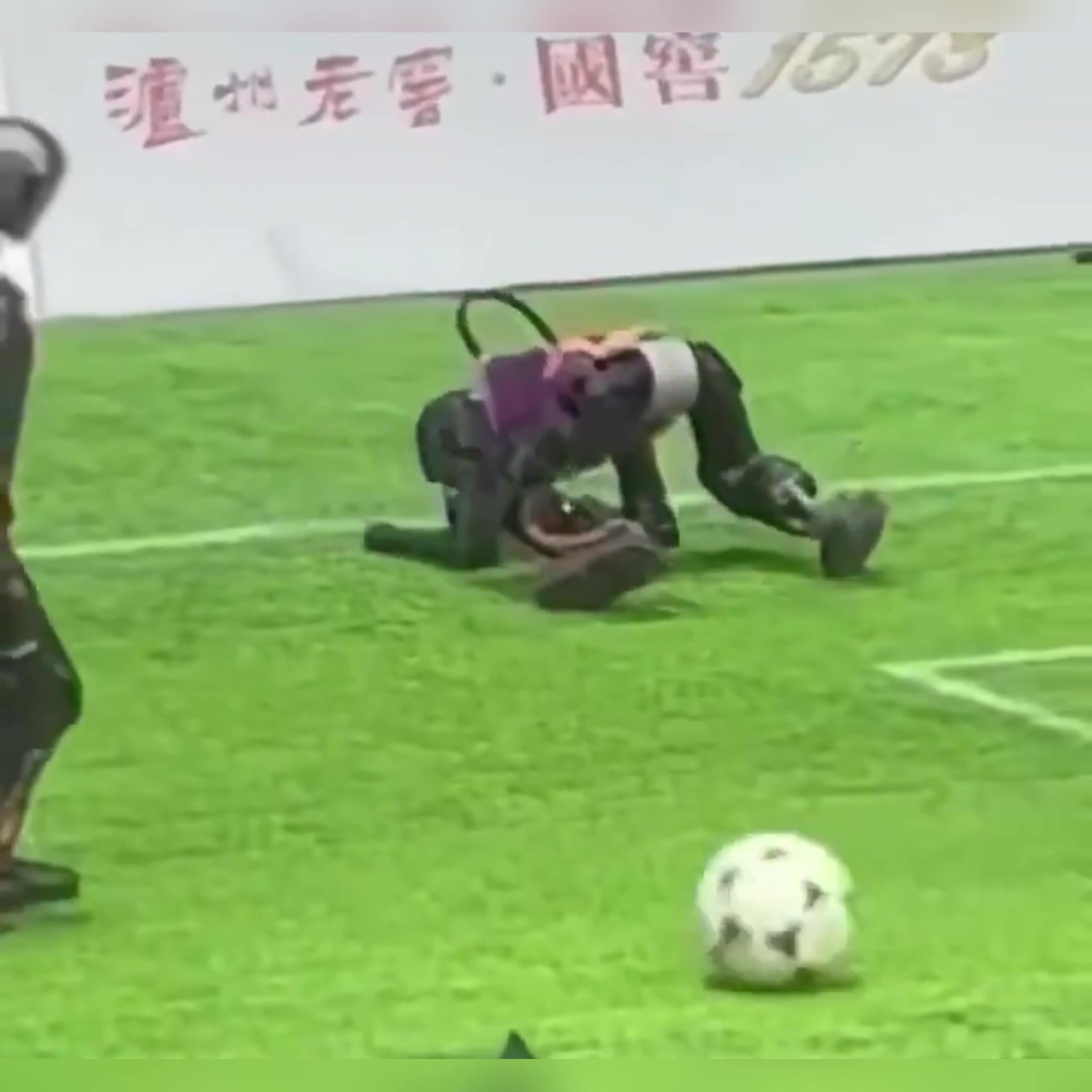 🤣🤣太损了！网友晒机器人踢球视频：曼联训练片段泄露