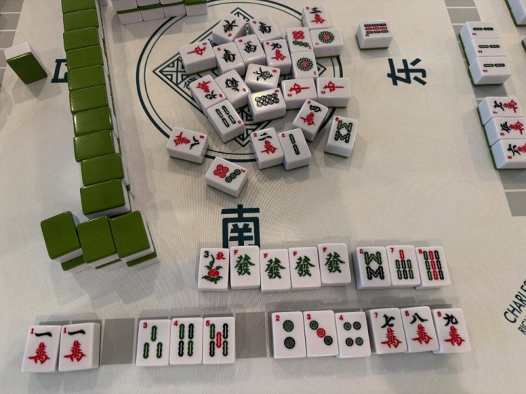 学习国粹！瓦妮莎打起了麻将 这麻将还是外国特供版