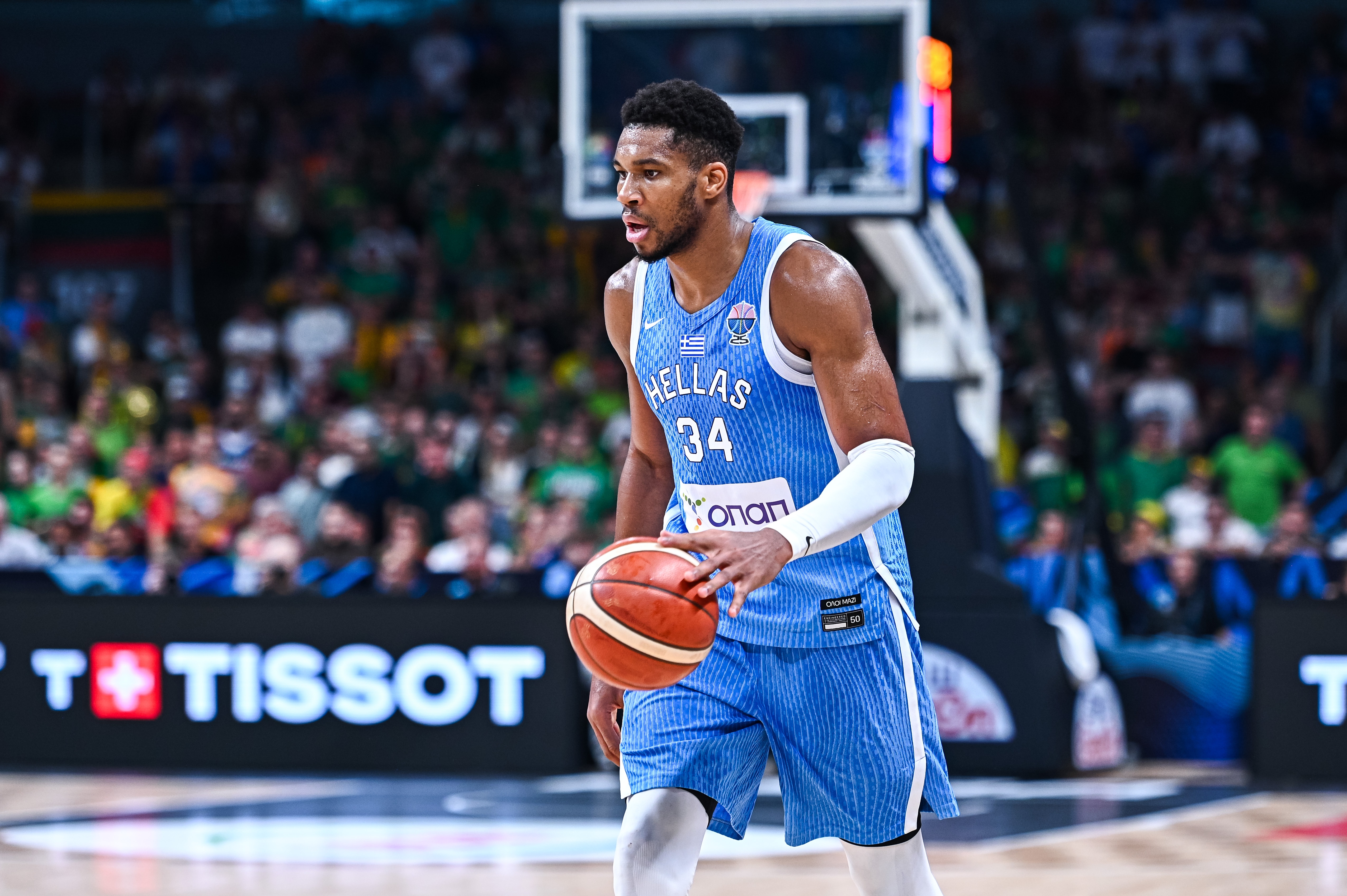 帕帕尼古拉乌：字母哥是世界上最好的球员 他是一个出色的领袖